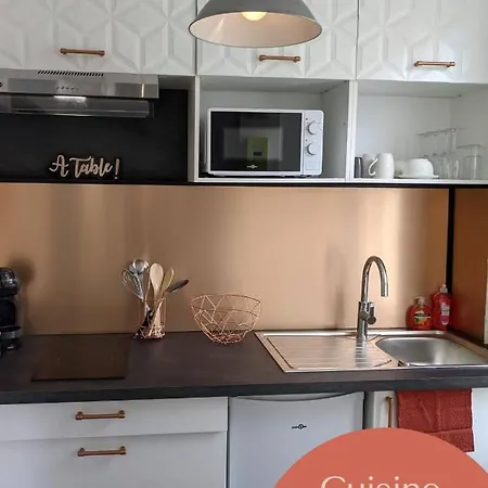 Hypercentre Calme Proche Centre Des Congres 아파트 앙제