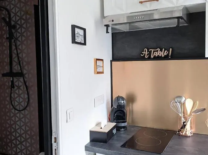 Daire Hypercentre Calme Proche Centre Des Congres