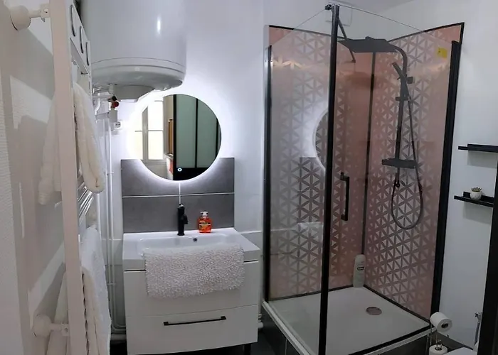 Hypercentre Calme Proche Centre Des Congres * Angers