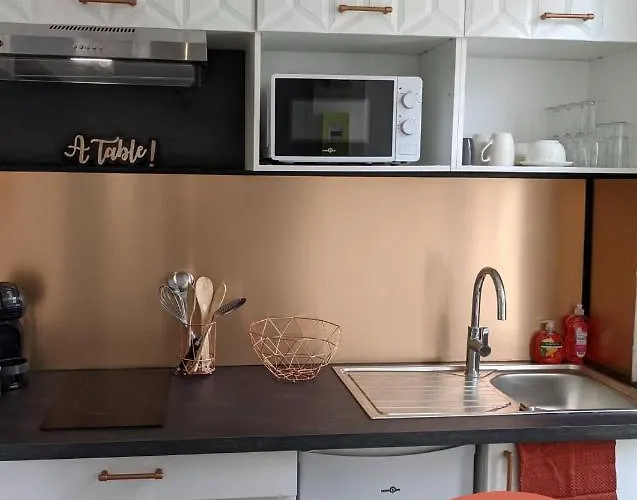 Hypercentre Calme Proche Centre Des Congres Daire Angers